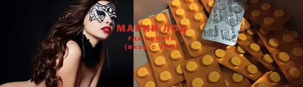 мдпв Касимов