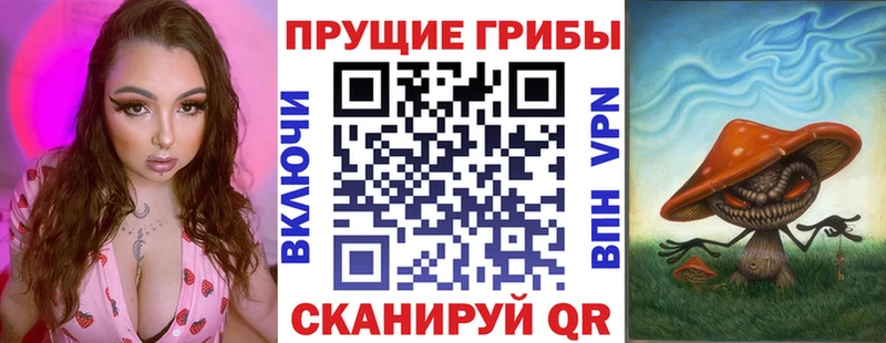 Галлюциногенные грибы Psilocybine cubensis  Купить  Белово 